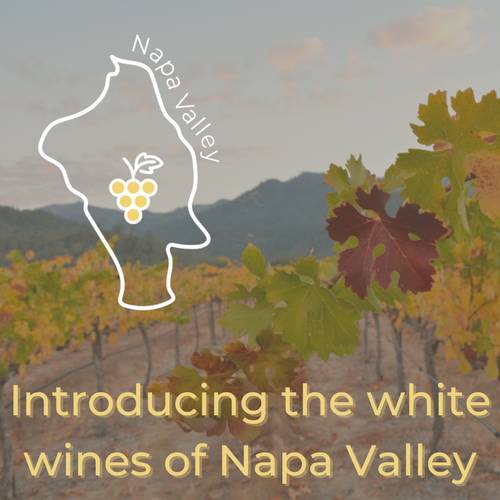 White Wines of Napa Valley