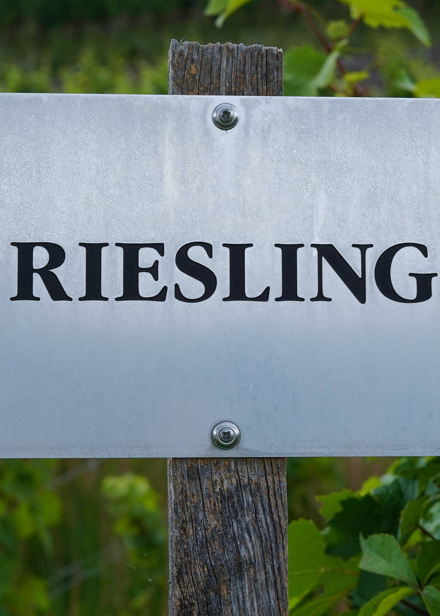 Wine of the Week -  Benevolent Neglect Riesling