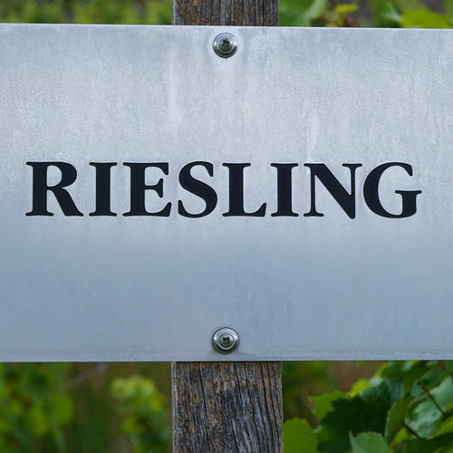 Wine of the Week -  Benevolent Neglect Riesling