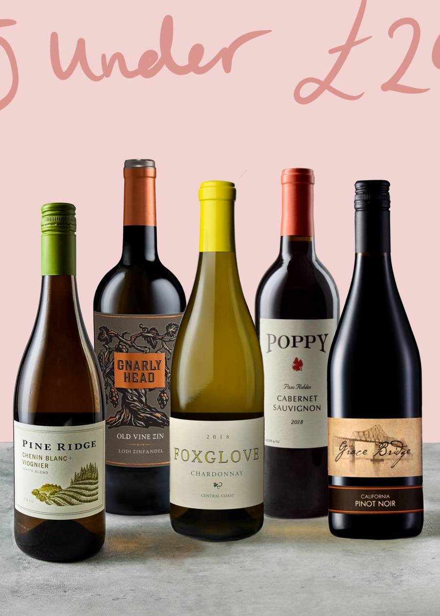 5 amazing wines for under £20