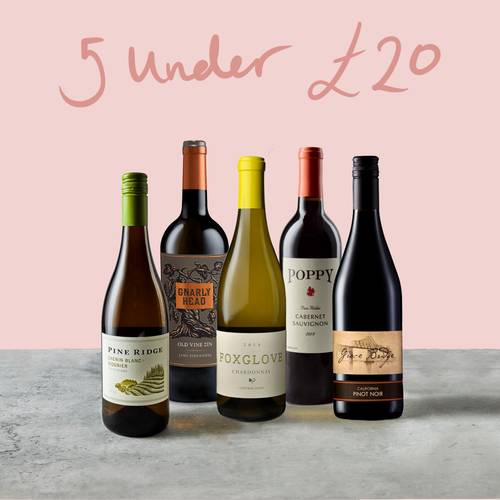 5 amazing wines for under £20